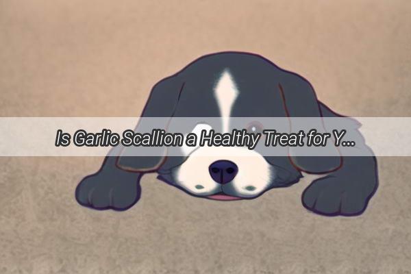 Is Garlic Scallion a Healthy Treat for Your Pooch Find Out Now